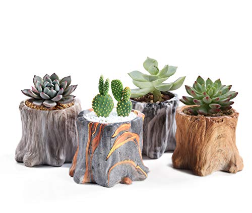 Succulent Planter Pots Small Ceramic Flower Cactus Pots Set 4 Pack Tree Stump Succulent Pots with Drainage Bonsai Pots 433 Inch Gift for Home Decor Indoor Outdoor
