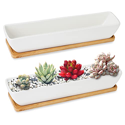 Succulent Pots DANALLAN Set of 2 Rectangular Ceramic Succulent Planters 11 inch Mini White Cactus Flower Pots with Bamboo Saucers for Indoor Outdoor Home Garden Kitchen Decor