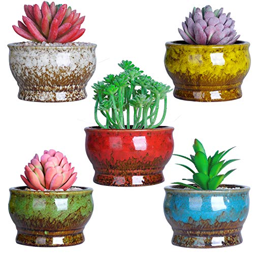 Succulent Pots Small Succulent Planter Pots with Drainage 43 Inch Ceramic Pots for Indoor Cactus Flower Plants Pack of 5