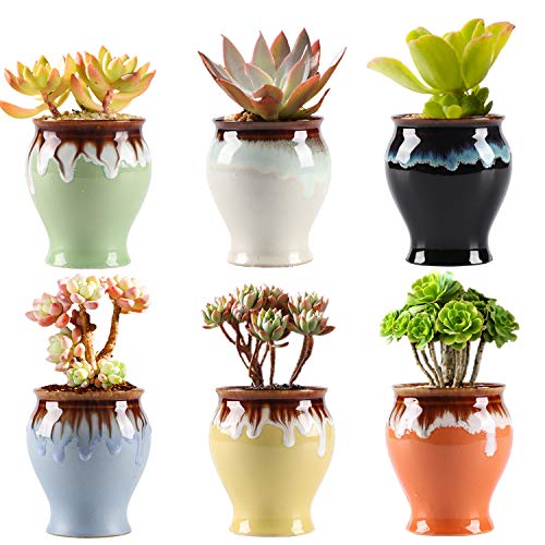 XIGUZHAN Small Ceramic Succulent Pots with Drainage Set of 6Planting Pot Flower PotsMini Pots for PlantsAir Plant Flower PotsCactus Planter Pots Container Bonsai PlantersHome and Office Decor