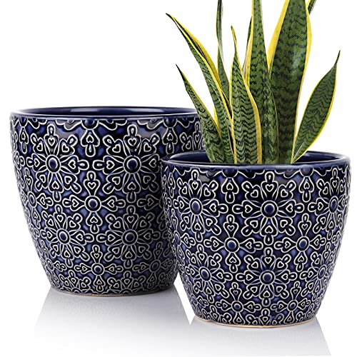 2 Pack Ceramic Plant Pots Indoor DeeCoo Flower Pot Set 55  65 Inch Blue Planters for Plants Clay Plant Pots with Drainage Hole for Snake Plants Orchid Succulent Cactus  Outdoor Garden Pots