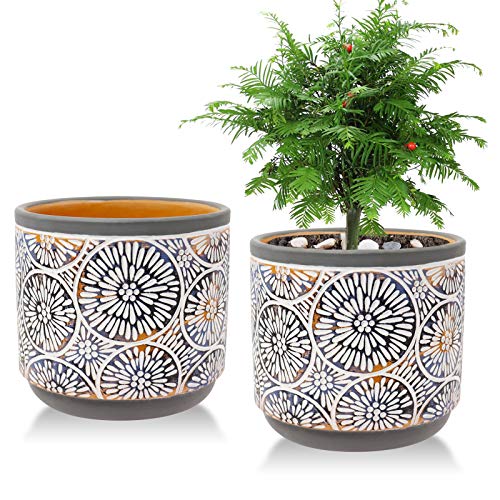 2 Pack Ceramic Plant Pots Vivimee 5 Inch Flower Pot Set Planter Set with Drainage Hole for Indoor Plants Cactus Succulent Snake Plants Bamboo Clay Pottery Garden Pots for Outdoor Plants(Gray)