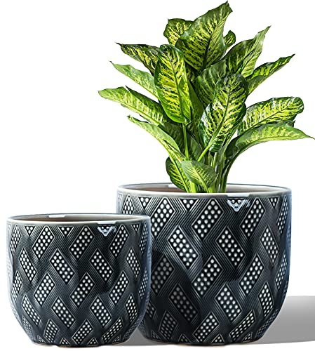 74  63 Ceramic Flower Pots Succulent Planters with Drainage Hole and Saucer (Black) Decorative Garden Pots for Indoor Outdoor House Plants Cactus Herbs Snake Plants Aloe Vera Plants Not Included