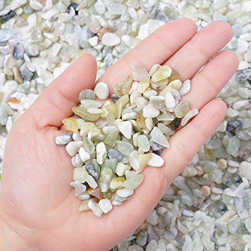 97lb Succulent and Cactus Bonsai DIY Rocks Jade Bean Pebbles Natural Decorative Polished Stones Vase Fillers Gravel for Plants，Terrarium  Fairy Gardening Indoor Outdoor Decor Ornamental Stones…