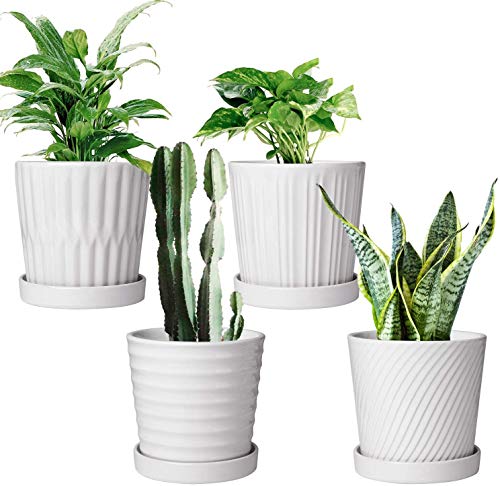 Flower Pots6 Inch Succulent Pots with DrinageIndoor Round Planter Pots with SaucerWhite Cactus Planters with HoleOutdoor Graden Pots 4 Pack