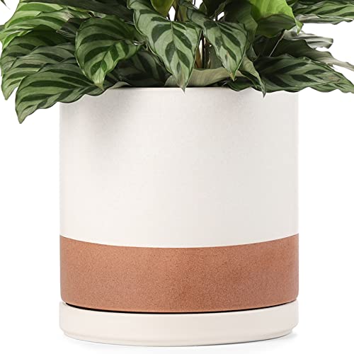 HYGGEISM Ceramic Planter Pot with Drainage Hole and Saucer 73 Modern Plant Pot for Flower Succulents and Cactus Indoor Outdoor Decor White