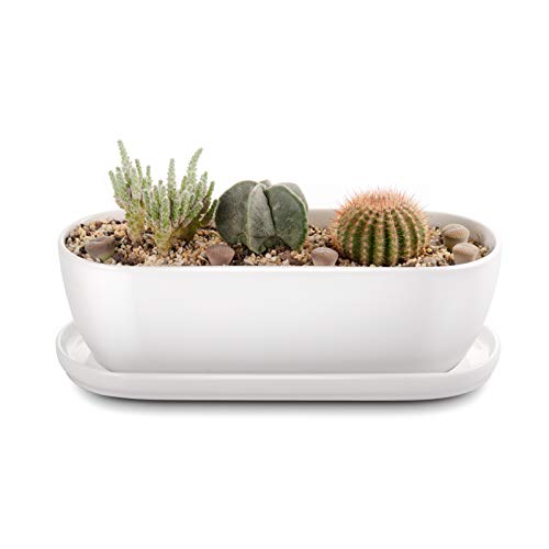 Oval Ceramic Planter Pot with Drainage Hole Saucers 11 Inch Succulents Planter Home Decor for Indoor Outdoor Plants Herb Cactus with 3 Mesh Pads Plants Not Included