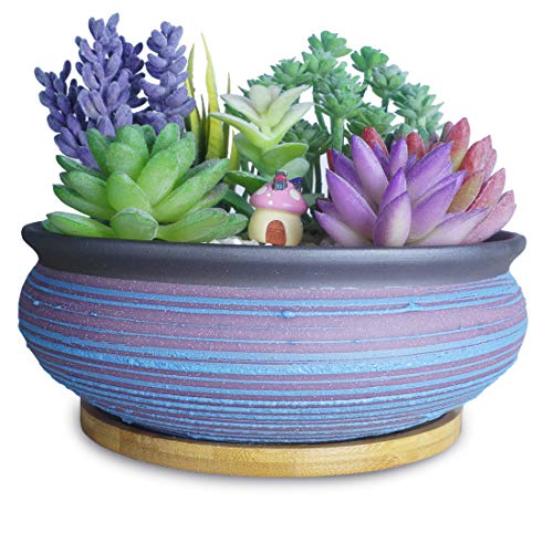 Succulent Pot 77 Inch Large Round Succulent Planter with Drainage Tray Ceramic Bonsai Pots for IndoorOutdoor Plants Flowers Cactus Garden HomeOffice Decor