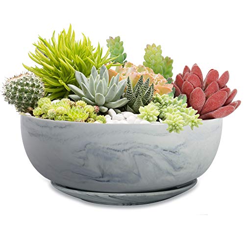 Succulent Pots with Drainage Tray FarielynX 8 Marble Pattern Large Round Succulent Planter Pot Ceramic Shallow Flower Pot SucculentCactus Planter Set for IndoorOutdoor Plants