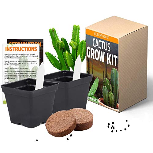 Wellness Tree Cactus Plant Seeds Growing Kit  All in One Cacti Succulent Plant Growing Kit  Grow Your Own Cactus Succulents  Cactus Plant Starter Kit  Indoor  Outdoor Plant Seeds Growing Kit