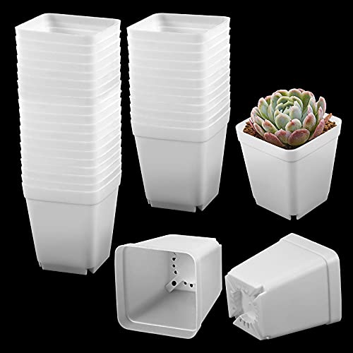 HAKZEON 100 Pack 275 Inch Square Nursery Pot White Plastic Nursery Pots for Saplings Succulents Potted Plants Transplanting Vegetables Flowers