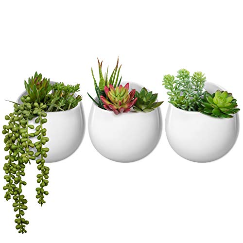 Mkono Wall Planter with Artificial Plants Decorative Potted Fake Succulents Picks Assorted Faux Succulent in Modern Ceramic Hanging Plant Pot Vase for Home Decor Set of 3