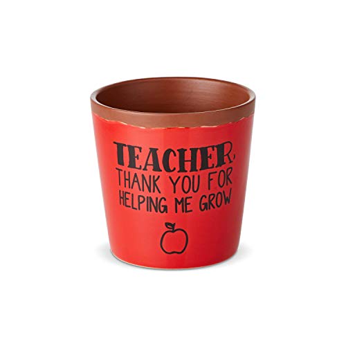 Enesco Our Name is Mud Teacher Thank You Succulent Planter Pot 375 Red