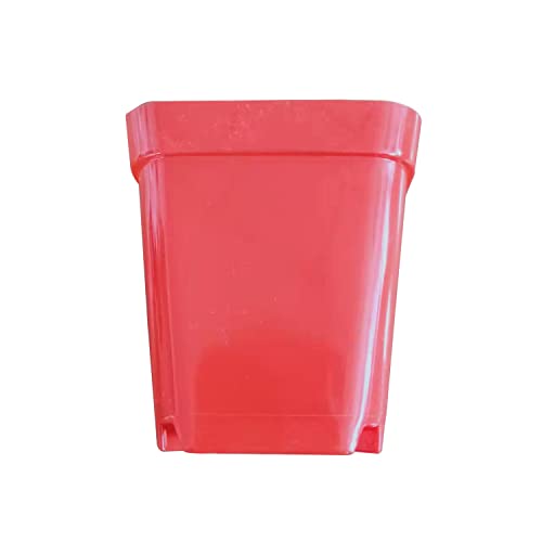GROWGREEN 4 in Red Color Bright Square Plastic Plant Seedling Succulent Cactus Grow Pots Box 25pcsPack (25 4 in Red)