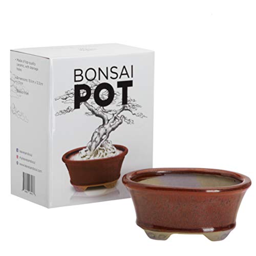 Glazed Ceramic Bonsai Pot  Decorative Planter for Dwarf Trees Succulents and Small Plants  Dark Red Oval Container Perfect for Indoor and Outdoor Gardens Table Centerpieces and Windowsill Décor