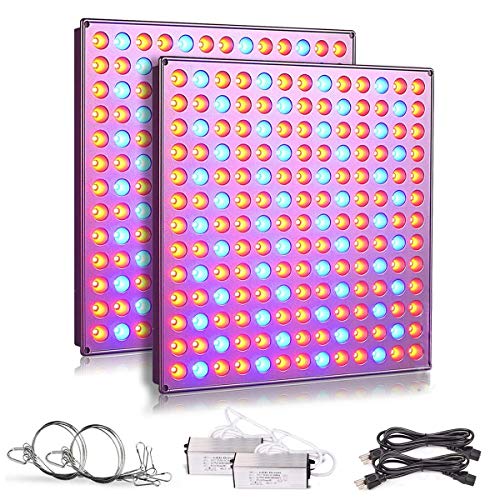 Roleadro LED Grow Lights for Indoor Plants 75w Plant Lights with Red  Blue Spectrum Grow Lamp for Hydroponic Seedling Succulents Veg and Flower (2 Packs)