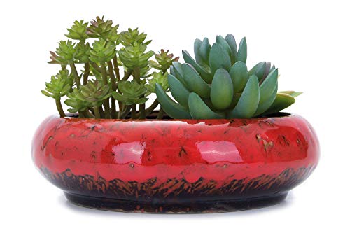 VanEnjoy 73 inch Round Large Shallow Succulent Ceramic Glazed Planter Pots with Drainage Hole Bonsai Pots Garden Decorative Cactus Stand Flower Container ( Red )