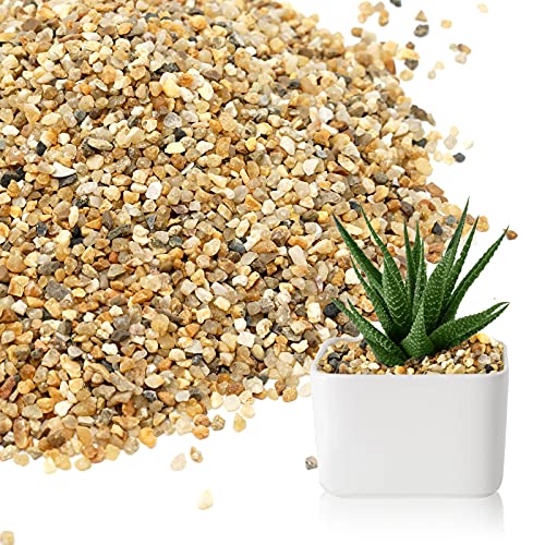 27lb Coarse Sand Stone  Course SandSilica Sand for PlantSoil Cover Succulent and Cactus Bonsai Horticultural SandNatural Decorative Sand for Vases FillersTerrarium Fairy GardenTop Dressing