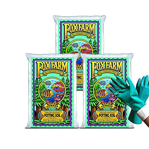 Fox Farm Ocean Forest Potting Soil Organic Natural Succulent Soil for Indoor and Outdoor Cactus Plants 385 Quart (15 cu ft)  (Bundled with Pearsons Protective Gloves) (3 Pack)