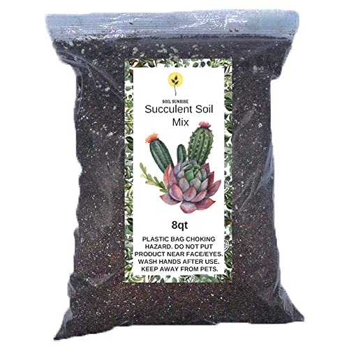 Hand Blended Succulent Soil Mix XL 8qt Bag Fast Draining Soil Potting Mix for Succulents