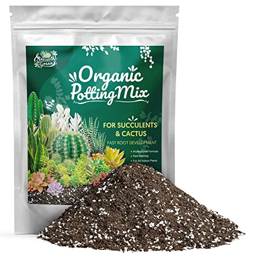 Sprout N Green Organic Potting Mix for Succulents Cactus 2 Quarts Indoor Plants Soil for Bonsai Flowers Vegetables Herbs Orchid Premixed House Garden Grow Soil Blend Formulated with Fertilizer