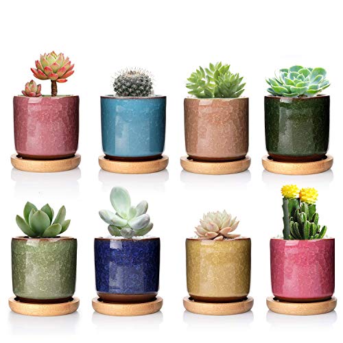 DeeCoo 8 Pack 25 inch Ceramic Ice Crack Succulent Plant Pot with Bamboo TrayMini Pots for Plants Cactus Plant Pot Flower Pot Container Planter for Home Garden Office Decoration(Plants NOT Included)