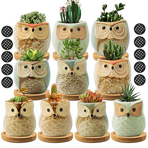 FairyLavie Succulent Pots 25 Owl Planter Owl Pot Small Pots for Plants Cute Small Planter with Accessories Great for Home Decor and Ideal Gift Set of 10