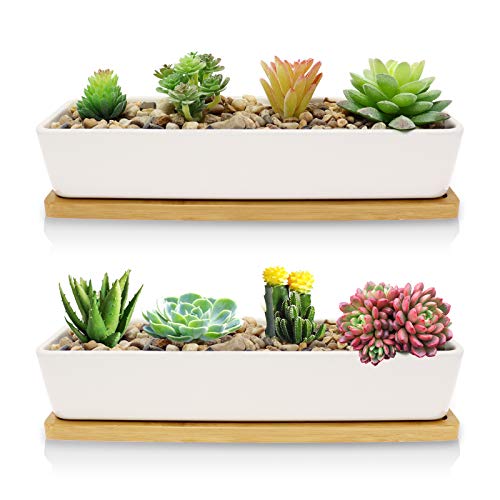 FarielynX 2 Pack White Succulent Planter Pots 111 inch Long Rectangle Ceramic Plant Container with Bamboo Saucers Mini Flower Cactus Pot Indoor Outdoor Home Garden Kitchen Decor Plant not Include