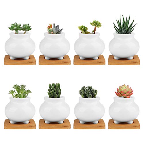 Plant Pots Brajttt Succulent Pots with Drinage Ceramic Flower Pots with Bamboo Tray Cactus Planters with Hole(8 Pack)