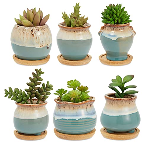 Small Ceramic Succulent Pots for Plants with Bamboo Trays (2 in 6 Pack)