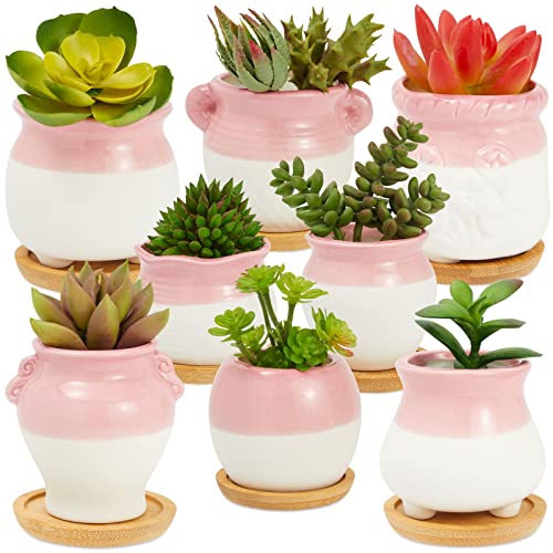 Small Ceramic Succulent Pots for Plants with Drainage Holes  Bamboo Trays (2 in 8 Pack)