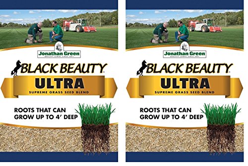 Jonathan Green Black Beauty Ultra Grass Seed 1Pound (1Pound 2Pack)