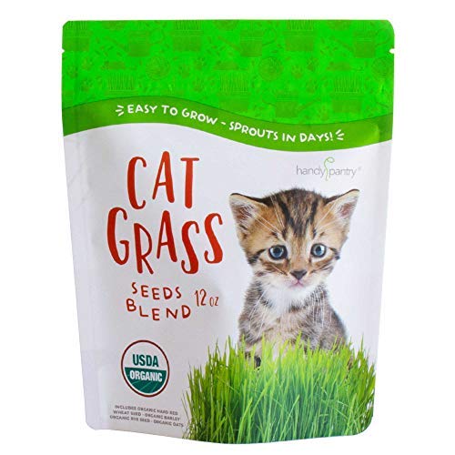 Organic Cat Grass Seed Blend for Planting by Handy Pantry  A Healthy Mix of Organic Wheatgrass Seeds Barley Oats and Rye Seeds  NonGMO Wheat Grass Seeds for Pets  Cat Grass Kit Refill (12 oz)
