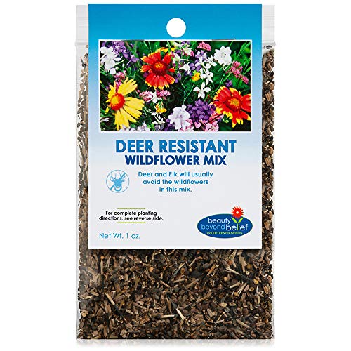 Deer Resistant  Tolerant Wildflower Seeds Bulk OpenPollinated Wildflower Seed Mix Packet No Fillers Annual Perennial Wildflower Seeds for Planting  1 oz