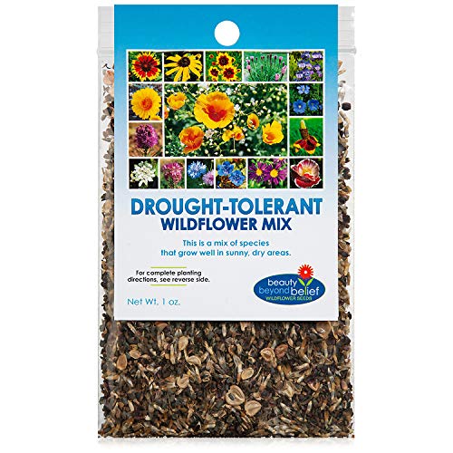 Drought Resistant Tolerant Wildflower Seeds OpenPollinated Bulk Flower Seed Mix for Beautiful Perennial Annual Garden Flowers  No Fillers  1 oz Packet