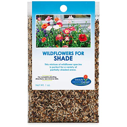 Partial Shade Wildflower Seeds Bulk  OpenPollinated Wildflower Seed Mix Packet No Fillers Annual Perennial Wildflower Seeds Year Round Planting  1 oz