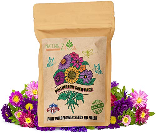 Wildflower Seeds 35 Varieties of Flower Seeds Mix of Annual and Perennial Seeds for Planting Attract Butterflies and Hummingbirds NonGMO