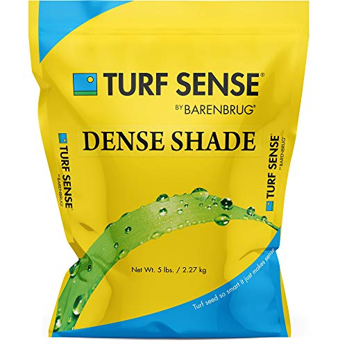 Barenbrug 25621 Turf Sense Grass SeedGrows in Areas of Dense Shade 5 LB Bag