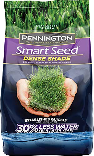 Pennington Smart Seed Dense Shade Grass Seed 7 lb