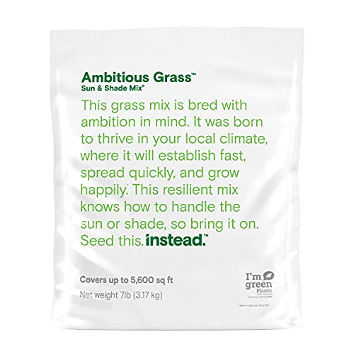 instead Ambitious Grass Seed Sun  Shade Mix Natural Grass Seed 70 lbs Coverage Up to 5600 Sq Ft (1 Bag) (17999)