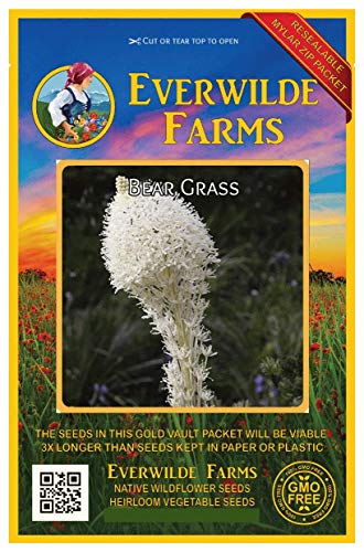 Everwilde Farms  100 Bear Grass Native Wildflower Seeds  Gold Vault Jumbo Seed Packet