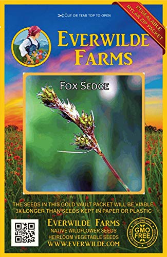 Everwilde Farms  1000 Fox Sedge Native Grass Seeds  Gold Vault Jumbo Seed Packet