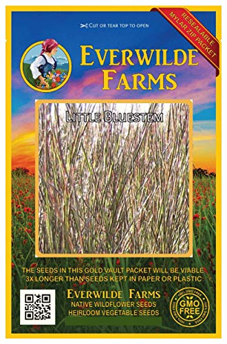Everwilde Farms  1000 Little Bluestem Native Grass Seeds  Gold Vault Jumbo Seed Packet