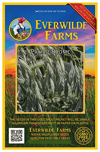 Everwilde Farms  1000 Prairie Brome Native Grass Seeds  Gold Vault Jumbo Seed Packet