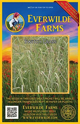 Everwilde Farms  1000 Switch Grass Native Grass Seeds  Gold Vault Jumbo Seed Packet