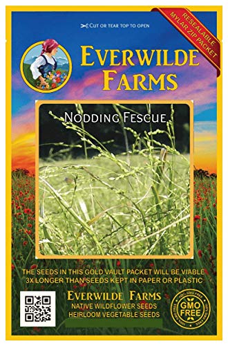 Everwilde Farms  200 Nodding Fescue Native Grass Seeds  Gold Vault Jumbo Seed Packet