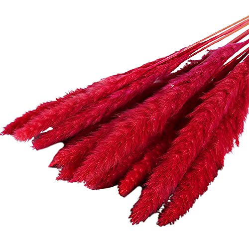 15Pcs Pampas Grass Bunch Natural Dried Reed Plumes Bundle Small Pampas Grass Ornamental Desktop Decor Dried Flower Birthday Party Artificial Reed Bouquet for Garden Red