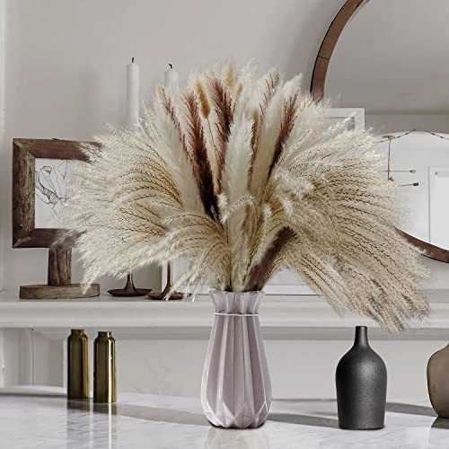 Chunba Style Natural Dried Pampas Grass  Set of 60 Pcs 17  Includes White Beige  Brown Small Pampas Grass Decor Bunny Tails  Reed Grass  for Home  Boho Wedding Flower Bouquet Arrangement
