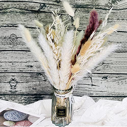 Total 60 Pcs 17 Set  Natural Dried Pampas Grass Rabbit Tail Grass Oatmeal Flower Perfect for Flower Arrangements Home Decor Boho Decor