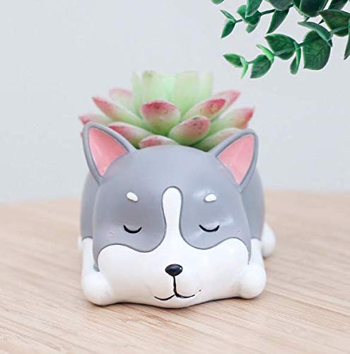 Husky Dog Succulent Planter Pots for Office House Balcony Landscape Creative Decorative Flower Pots (Husky)